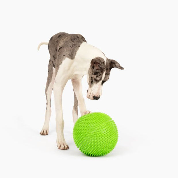 Giant Tuff Roller - 12" Herding Ball