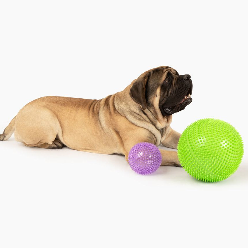 Giant Tuff Roller - 12" Herding Ball